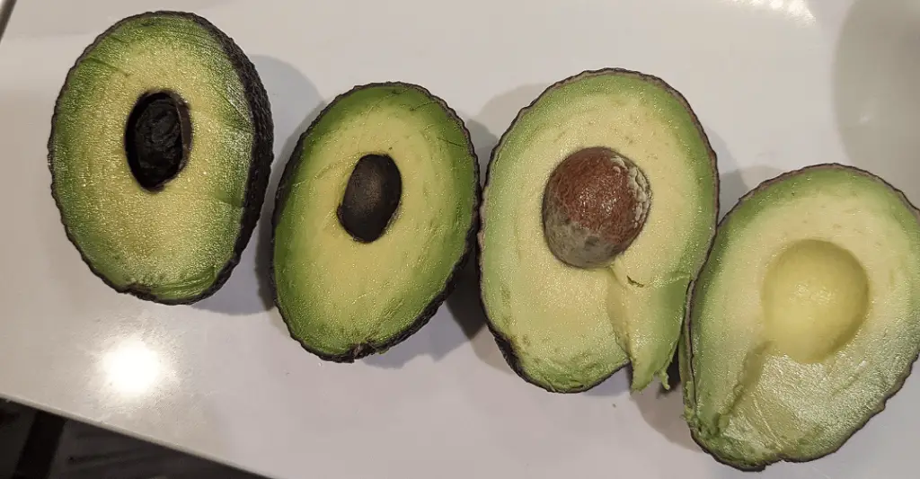 Avocado Rotten Pit Compared to Healthy Pit